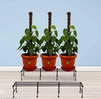 Iron Planter Stand It is very light in weight and so it can be moved easily as per your needs - Free Size, Black, Iron, Pack of 2